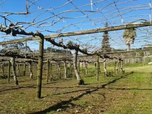 A picture of a farm in the dry weather.