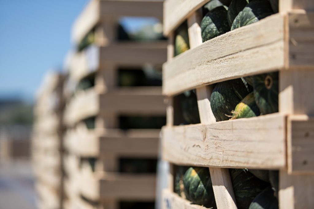 A crate carrying buttercup squash.